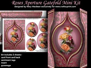 Roses Aperture Gatefold Mini Kit