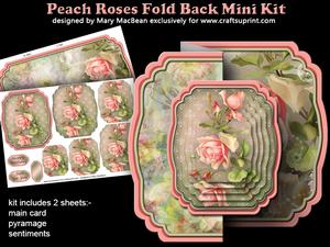 Peach Roses Fold Back Mini Kit