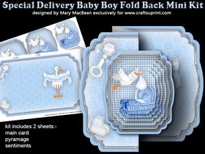 Special Delivery - Baby Boy Fold Back Mini Kit