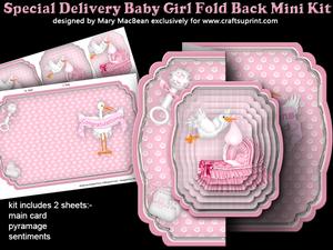 Special Delivery - Baby Girl Fold Back Mini Kit