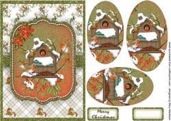 Robins in Birdhouse
