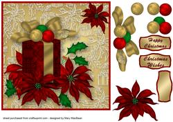 Gift and Poinsettias Christmas Card Front