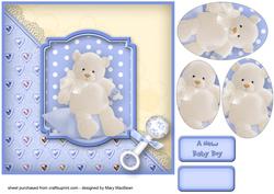 New Baby Boy Teddy
