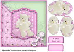 New Baby Girl Teddy