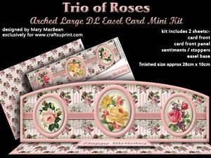 Trio of Roses Arched Large Dl Easel Card Mini Kit