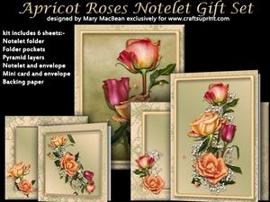 Apricot Roses Notelet Gift Set