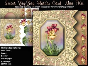 Irises Zig Zag Border Mini Kit