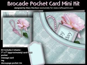 Brocade Pocket Mini Kit