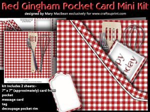 Red Gingham Pocket Mini Kit