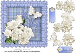 Tartan Frilly Cushion Card Front