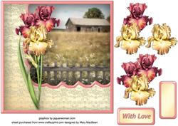Summer Irises Card Front