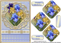 Pretty Irises Framed Pyramid Card