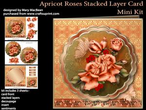 Apricot Roses Stacked Layer Card Mini Kit