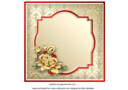 Champagne and Gold Card Insert