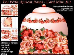 Pot with Apricot Roses - Card Mini Kit