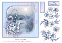Winter Sun - Decoupage Card Front
