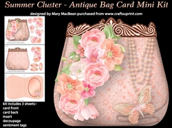 Summer Cluster - Antique Bag Card MIni Kit