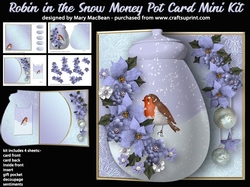 Robin in the Snow - Money Pot Card With Gift Pocket Mini Kit