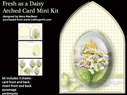 Fresh as a Daisy Arched Card Mini Kit