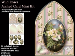Wild Roses Arched Card Mini Kit