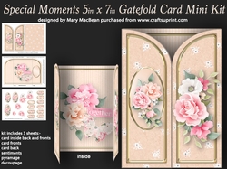 Special Moments - 5in x7in Gatefold Card Mini Kit