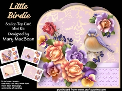 Little Birdie - Scallop Top Card Mini Kit