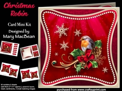 Christmas Robin - Curved Frame Card Mini Kit