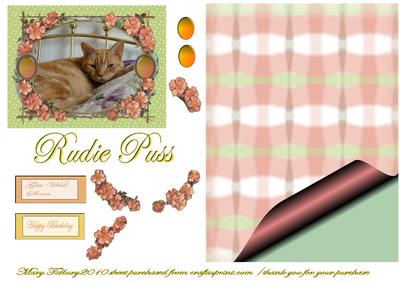 Rudie Puss