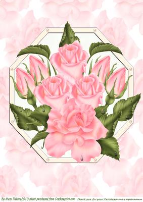 Coral Roses A4