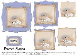 Framed Swans 1