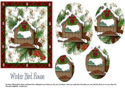 Winter Bird House