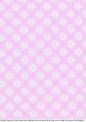 Pink and White Lace Flowers