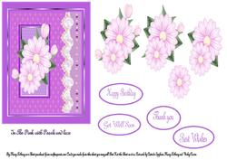 In the Pink with Flowers and Lace