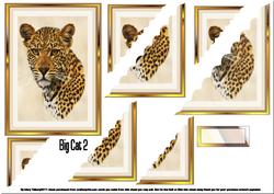 Big Cat 2