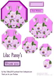 Lilac Pansy's