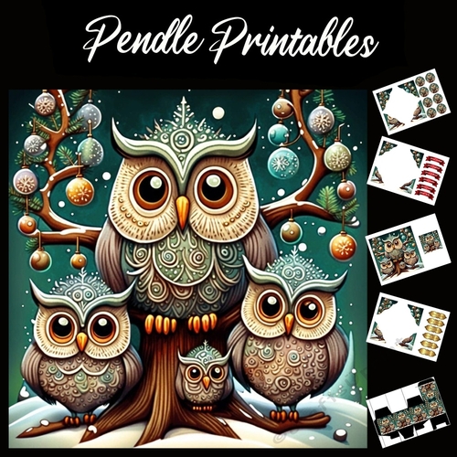 Owls Hoot Of A Time 7x7 Card Kit. Matching Box, Gift Bauble, Tag.