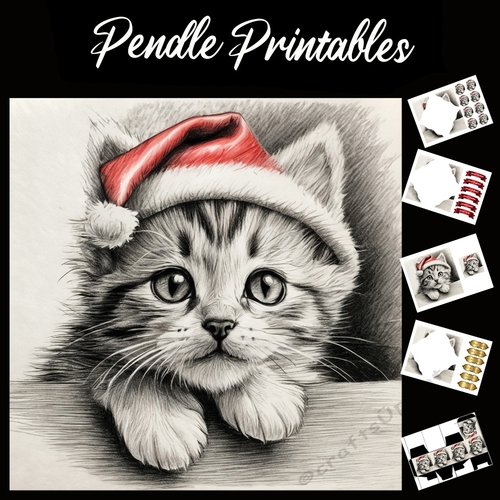Beautiful Pencil Sketch Of Kitten In Santa Hat 7x7 Card Kit. Matching Box, Gift Bauble, Tag.