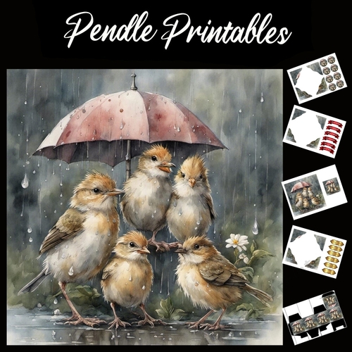 Chirping In The Rain 7x7 Card Kit. Matching Box, Gift Bauble,Tag