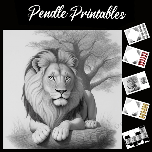 King of the jungle 7x7 Card Kit. Matching Box, Gift Bauble, Tag.