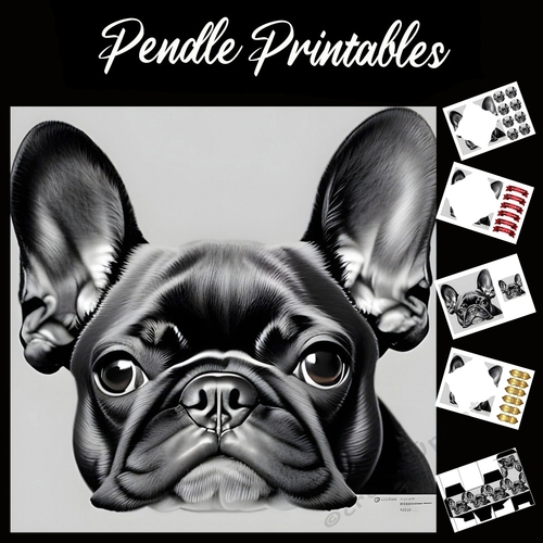 Sulky The Im Bored French Bulldog  7x7 Card Kit. Matching Box, Gift Bauble, Tag.