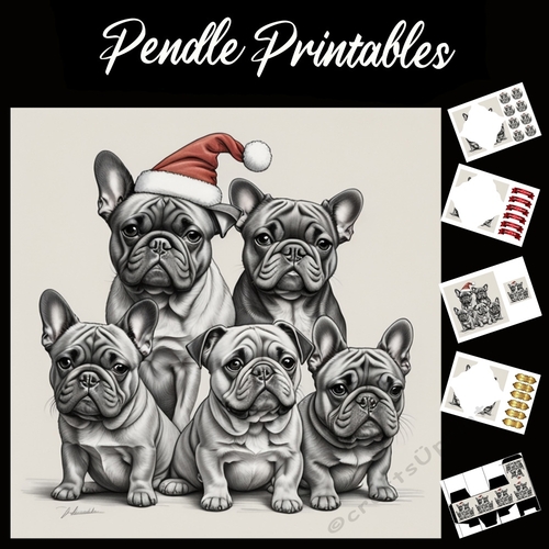 The Pug Christmas Possy 7x7 Card Kit. Matching Box, Gift Bauble, Tag.
