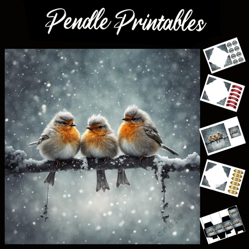 Three Robin Redbreasts 7x7 card kit. Matching Box, Gift Bauble,Tag.