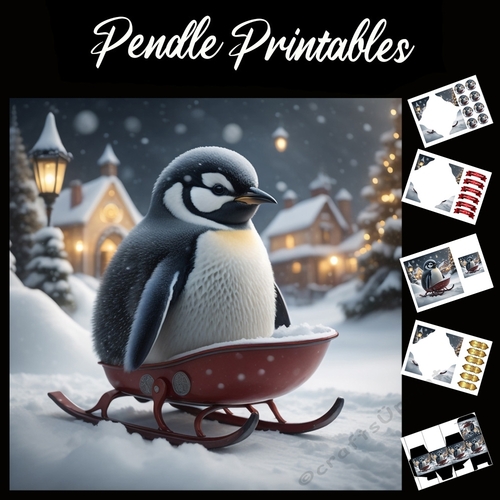 Cute Penguin Chick On Sledge 7x7 card kit. Matching Box, Gift Bauble,Tag.