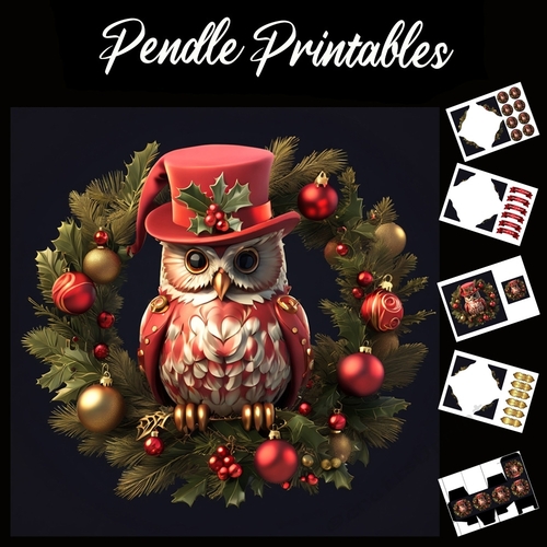 The Dapper Owl 7x7 card kit. Matching Box, Gift Bauble,Tag.