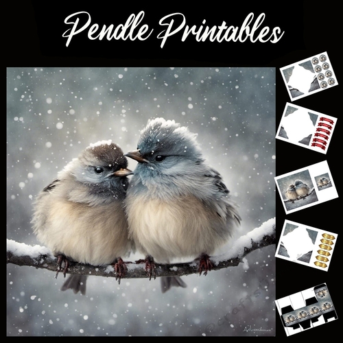 The Wintertime Cuddling Birds 7x7 card kit. Matching Box, Gift Bauble,Tag.