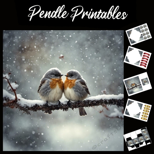 Snowy Baby Robins 7x7 Card kit. Matching Box, Gift Bauble, Tag.