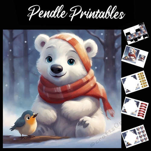 The Bear And The Robin 7x7 card kit. Matching Box, Gift Bauble,Tag.