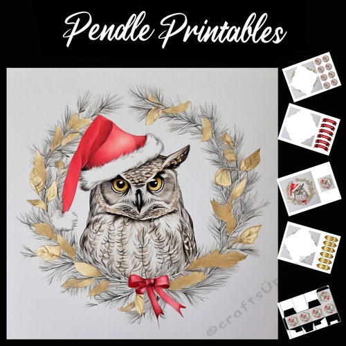 I Look A Twit Toooo Owl 7x7 Card kit. Matching Box, Gift Bauble, Tag.