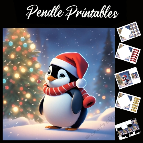 Butter Wouldnt Melt Cute Penguin  7x7 Card Kit. Matching Box, Gift Bauble, Tag.