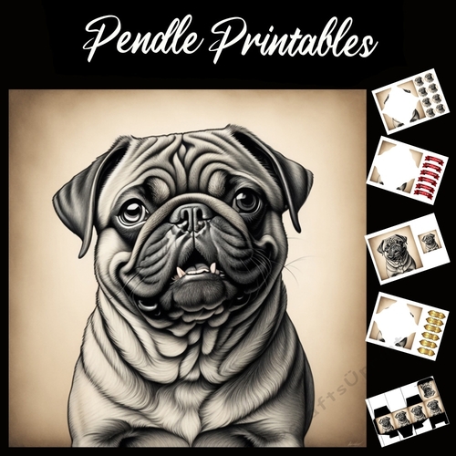 Lovely Pencil Sketch Of A Pug  7x7 Card Kit. Matching Box, Gift Bauble, Tag.